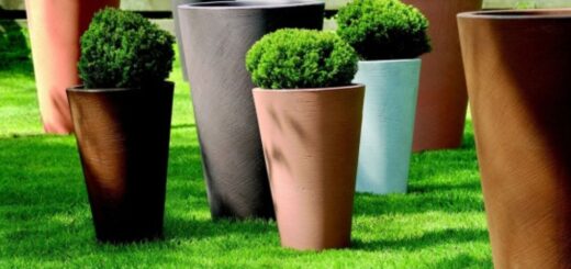 modern garden pots brands