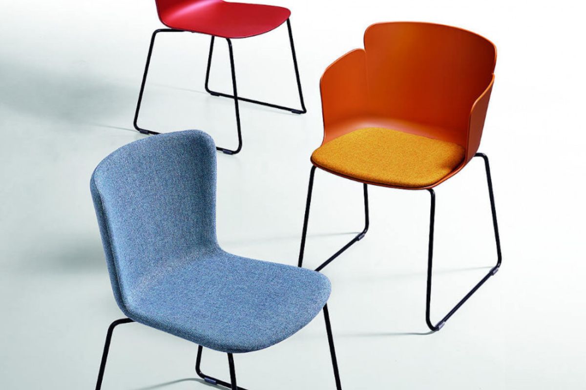Coloured wooden chair: modern design for elegant style