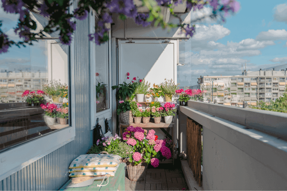 Wie Sie Ihren Balkon dekorieren: 30 Ideen zum Nachmachen