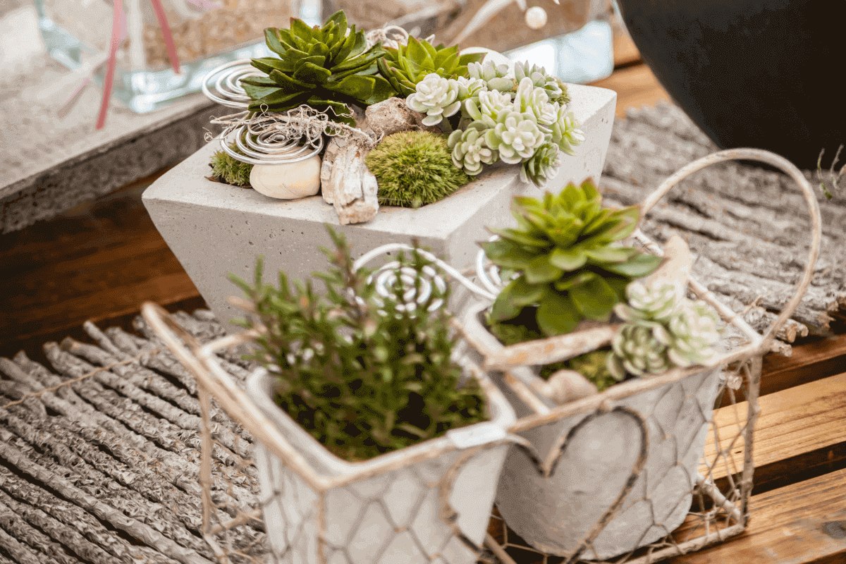 Decorating a Shabby chic spring garden