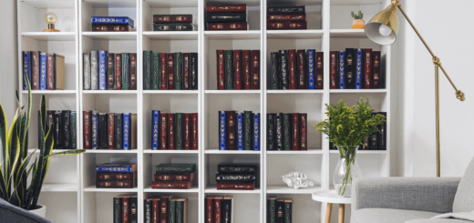 Plasterboard bookcase: tips, ideas and design examples