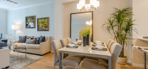 Dining room: trends 2023 not to be missed