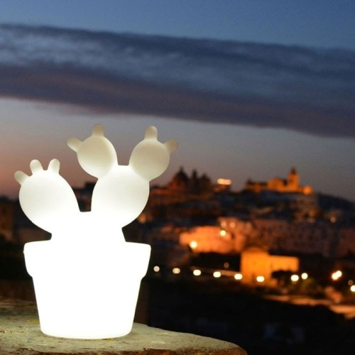 Fico d'India Modum Tischlampe