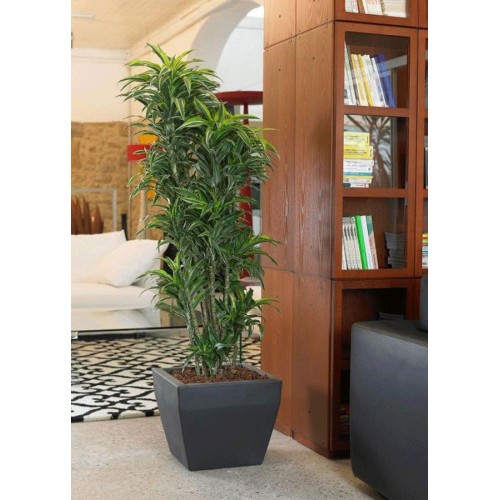 Akan Khilia Vase Gartenmöbel aus Polyethylen