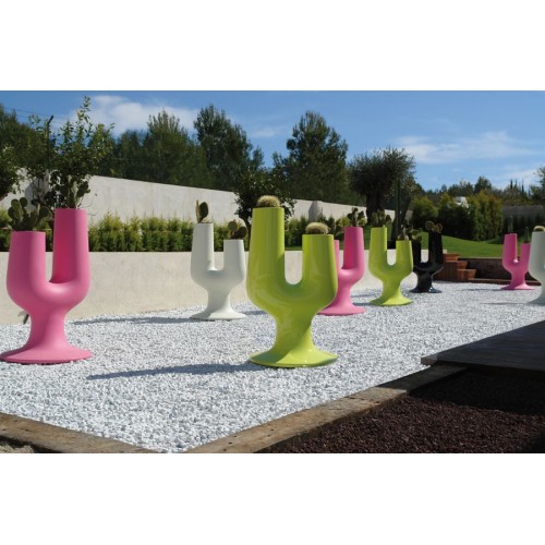 Cactus Plust Blumenvase