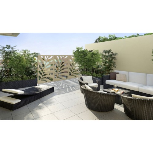 Kentia Serralunga Trennplatte