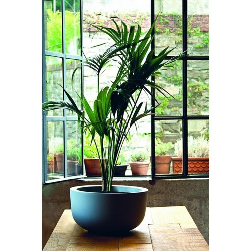 Cup Serralunga Blumen Vase