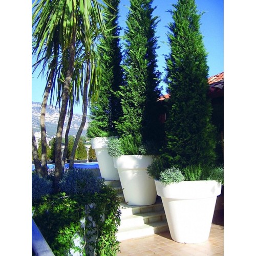 Vas family & big bo Serralunga beleuchtbare Vase