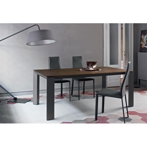 Dalila Bontempi Stuhl