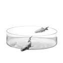 Glasvasen Illusion Fish Collection von Adriani e Rossi
