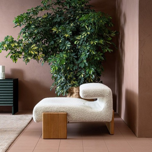 Gepolsterter Sessel Loveseat Moroso – Moderne Holzbasis