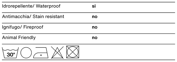 pinky-noctis-cat-c-4