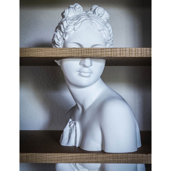 Bookcase Venus Driade