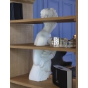 Bookcase Venus Driade