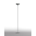 Dry Rotaliana Floor Lamp