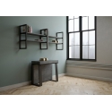 Asia Itamoby Console table anthracite frame