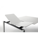 Woody Midj extendable table