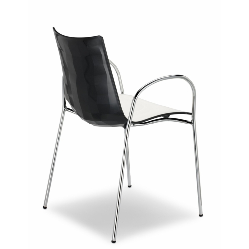 Zebra bicolor Scab chair with armrests