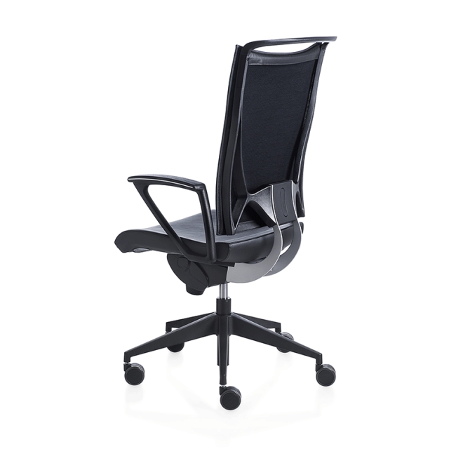 Korium Plus Kastel chair with armrests