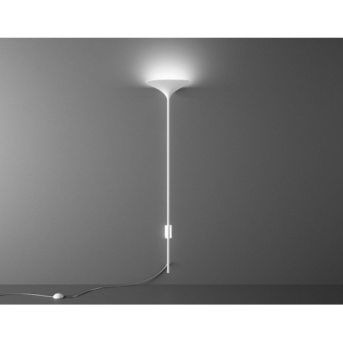 Sunset Rotaliana Applique