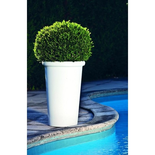 Pot de fleur Camelia Serralunga