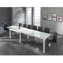 Long Tomasucci Table extensible