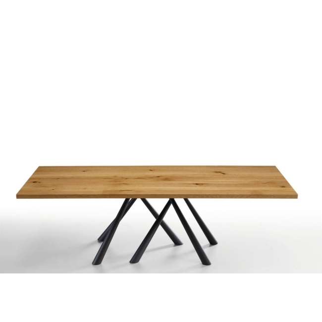 Table Forest Midj