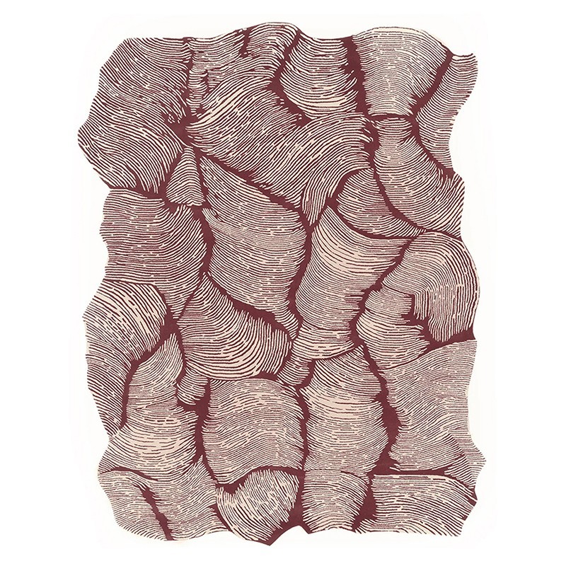 Tappeto Mohebban Oceano Rectangular cinnamon