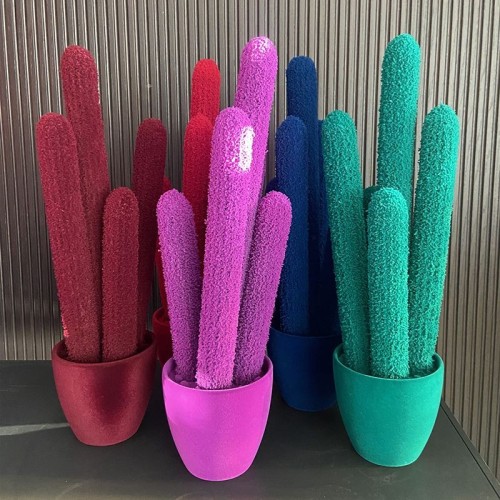 Long Cactus par Adriani & Rossi : Design pour vos Intérieurs