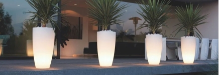 Vases lumineux à LED
