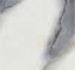 bianco-calacatta.jpg