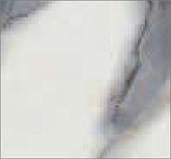 bianco-calacatta.jpg