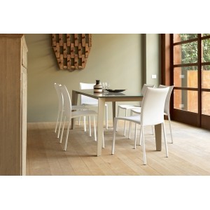 sedia-simba-bontempi-casa