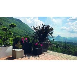 vaso-cubotti-serralunga