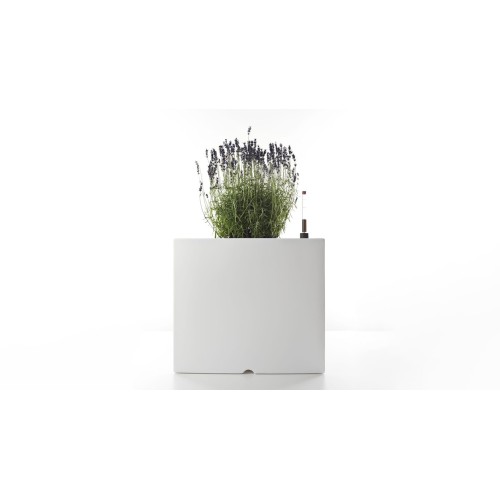 Vaso Serralunga Cubotti - Arredare Moderno