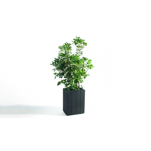 Vaso Serralunga Fence - Arredare Moderno