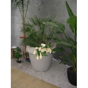 vaso-gio-tondo-slide