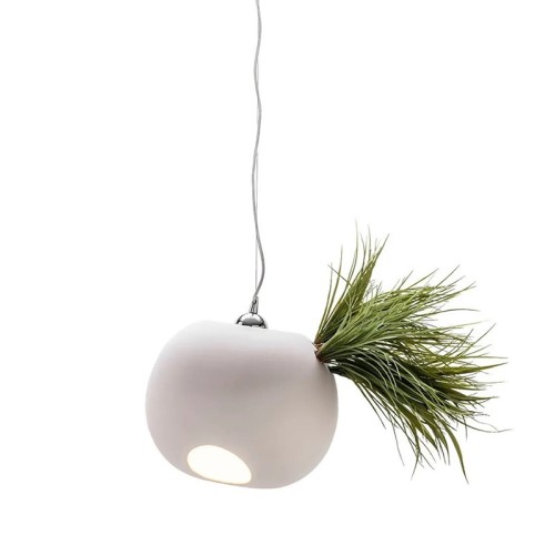 Lampadario Erbaria Adriani e Rossi