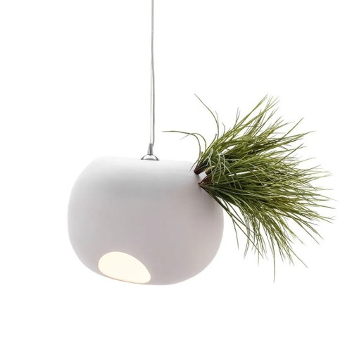 Lampadario Erbaria Adriani e Rossi