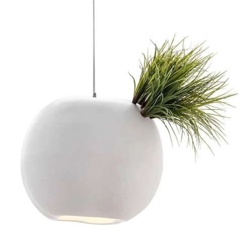 Lampadario Erbaria Adriani e Rossi