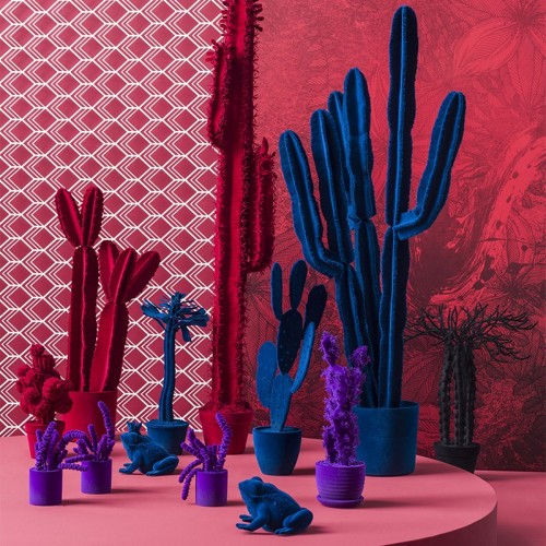 Complemento d'arredo Cactus Long Adriani e Rossi