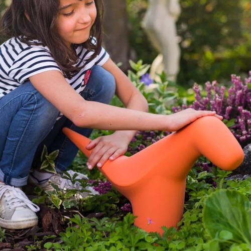 Complemento decorativo Odla Plust