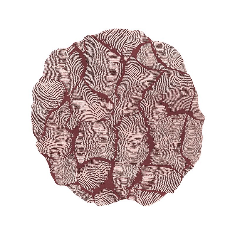 Tappeto Mohebban Oceano Round cinnamon