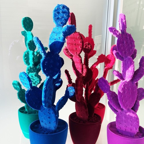 Fico d’India by Adriani e Rossi: Design per i tuoi Interni