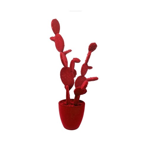 Fico d’India by Adriani e Rossi: Design per i tuoi Interni