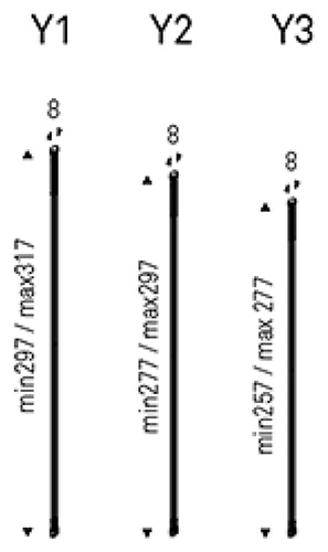 libreria-freeway-cattelan-misure